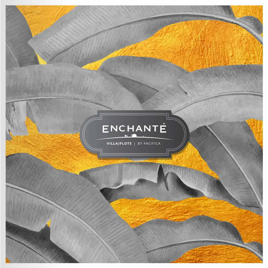 about-pacifica-enchante